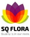 SQ Flora