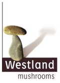 Westland Mushrooms BV