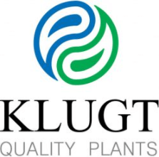 Klugt Quality Plants